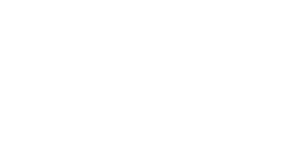 Dominion national insurance logo