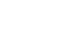 Empire blue cross blue shield insurance logo