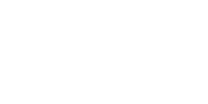Lincoln financial group insurance